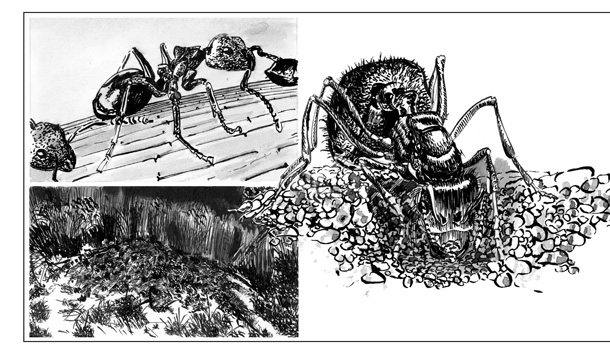 Illustration 12